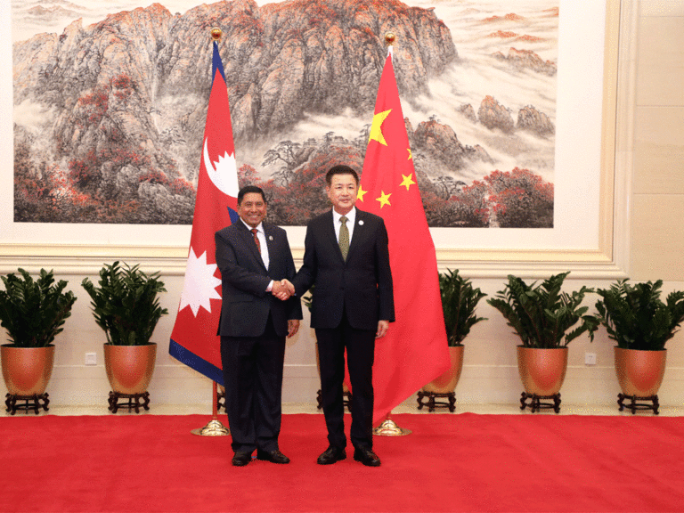 Meeting between DPM Shrestha and Chinese Public Security Minister Wang