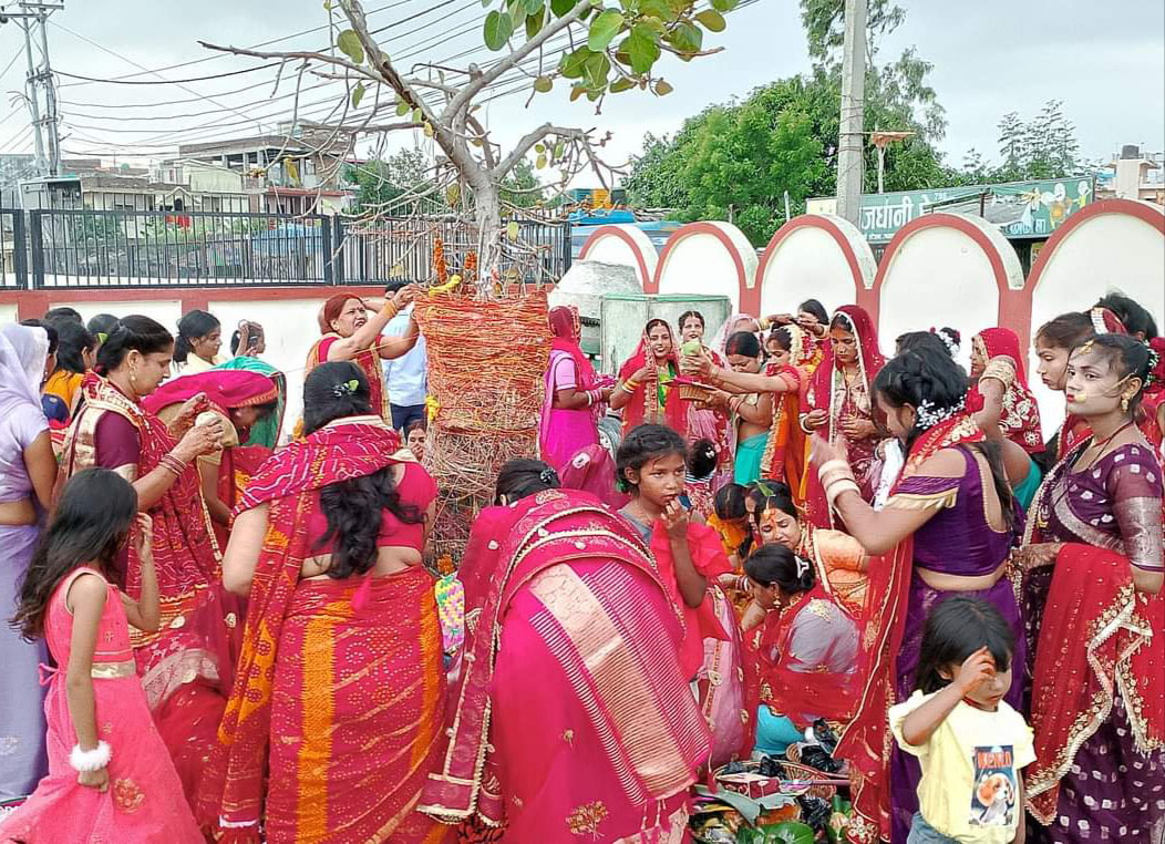 Worship on the festival of Bata Savitri