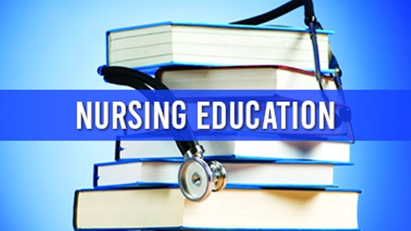 Parliamentary committee makes efforts to address nursing education issues