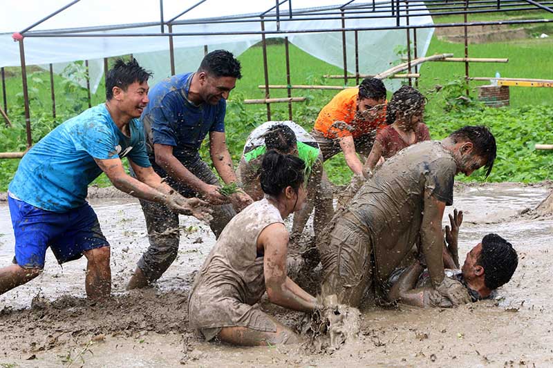 In pictures: National Paddy Day