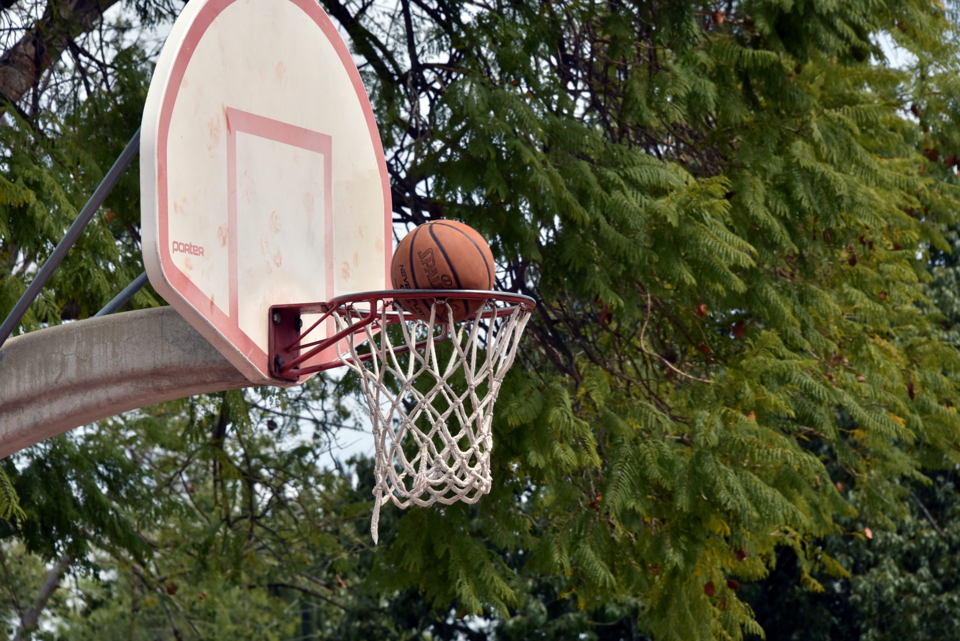 Pathshala Cup SEE Basketball Tournament to begin on Friday