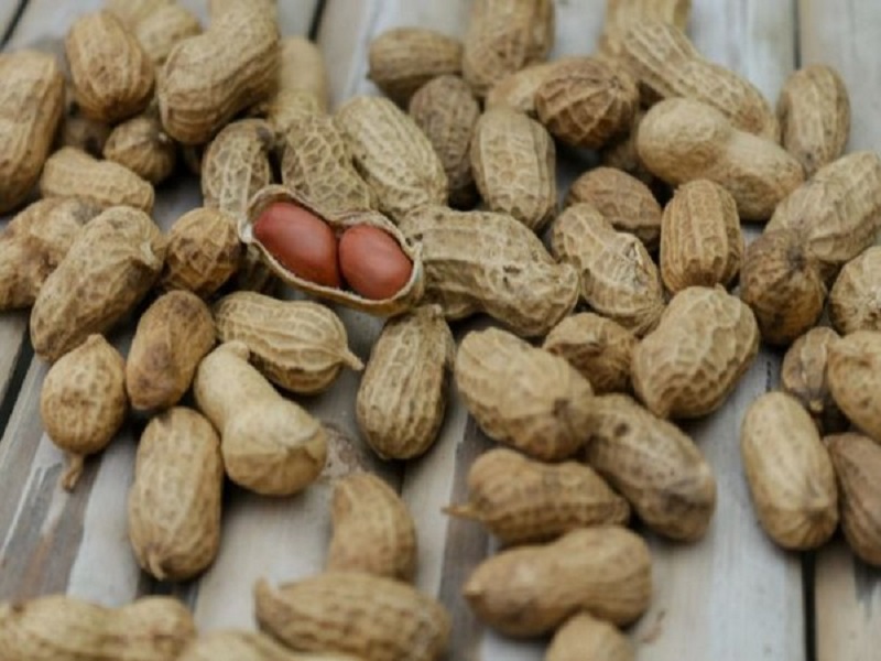 Study finds peanuts may lower cardiovascular disease risk among people