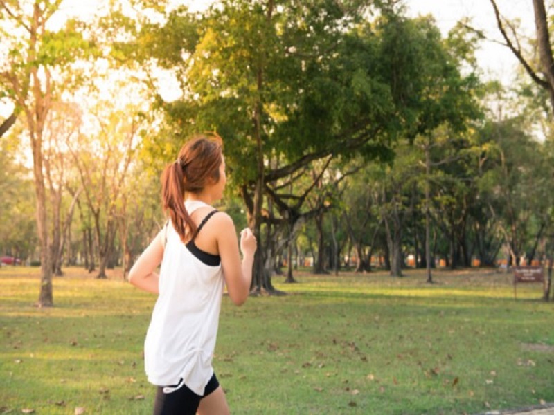 Clean air matters for a healthy brain: Study