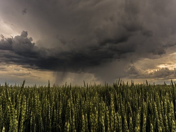 At least 50 people feared dead as tornado hits US state of Kentucky: Governor