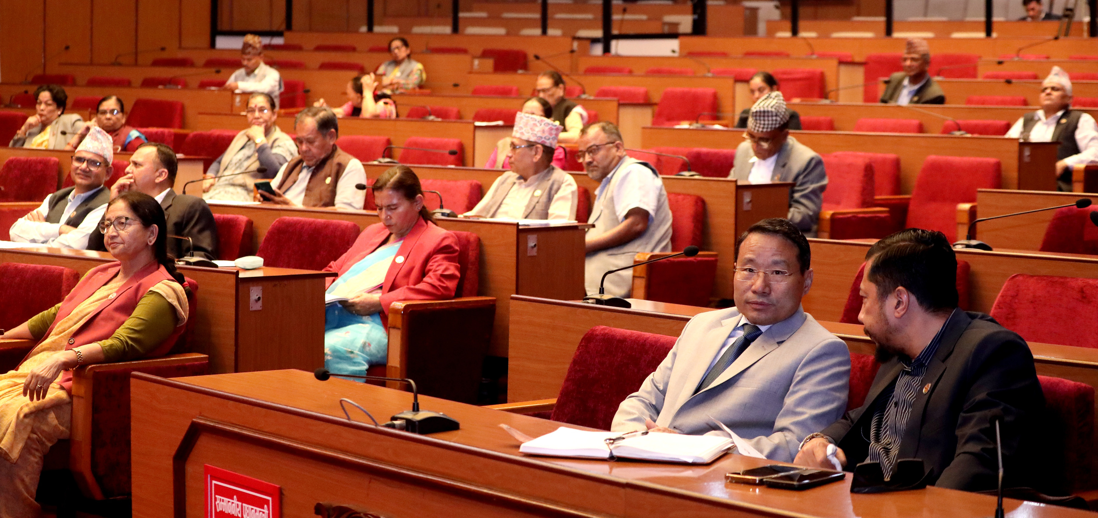 NA session: Lawmakers call for easing process of providing citizenship in mother’s name