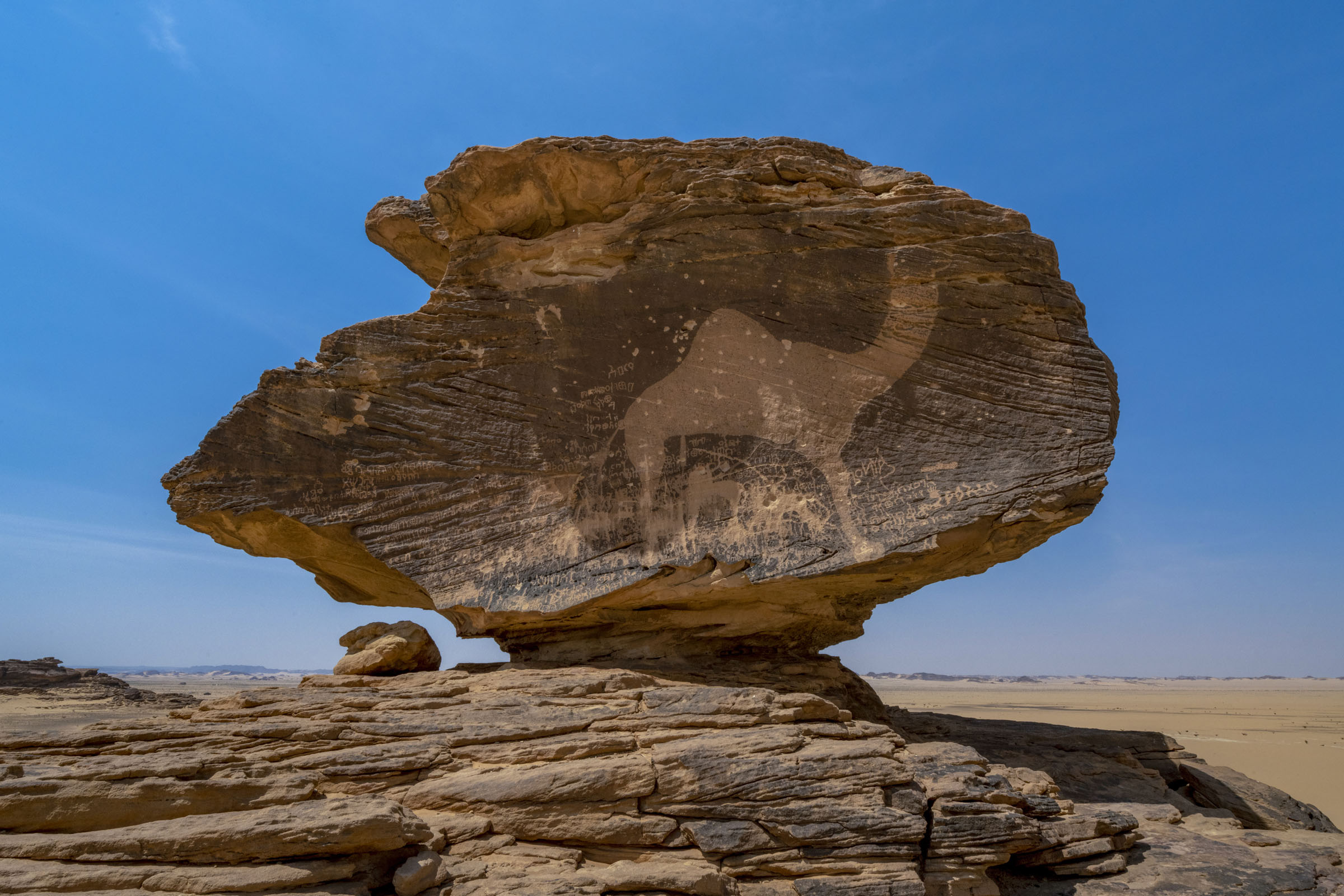 Hima Cultural Area in Saudi Arabia inscribed on UNESCO World Heritage Site list