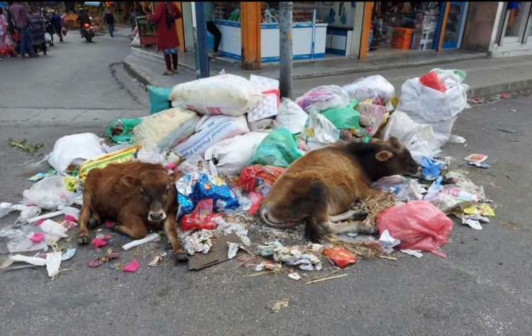 Pokhara goes stinking with garbage pile-up