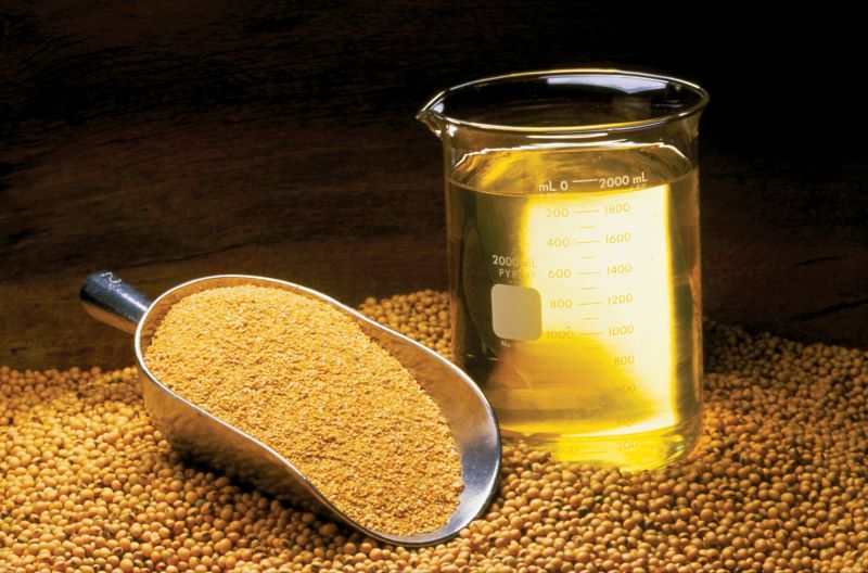 Price hike in cooking oil attributed to international causes