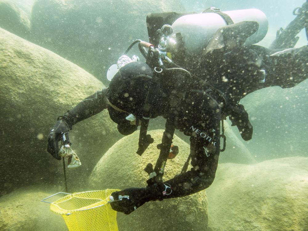 Scuba divers begin 6-month effort to rid Lake Tahoe of trash