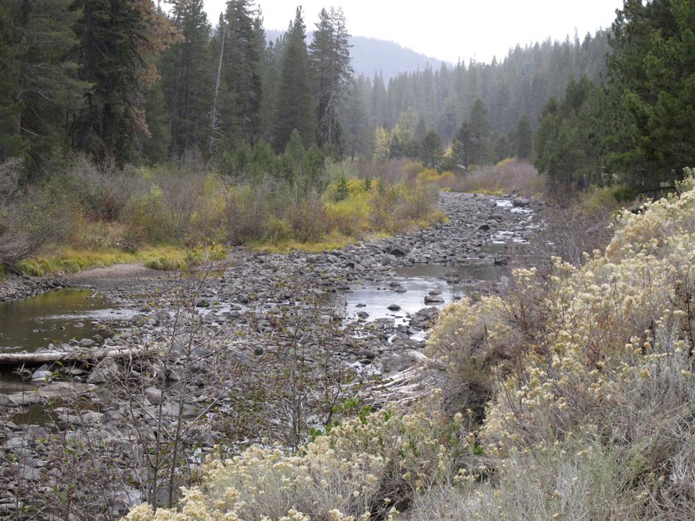 Climate change disrupting natural cycles at drier Lake Tahoe