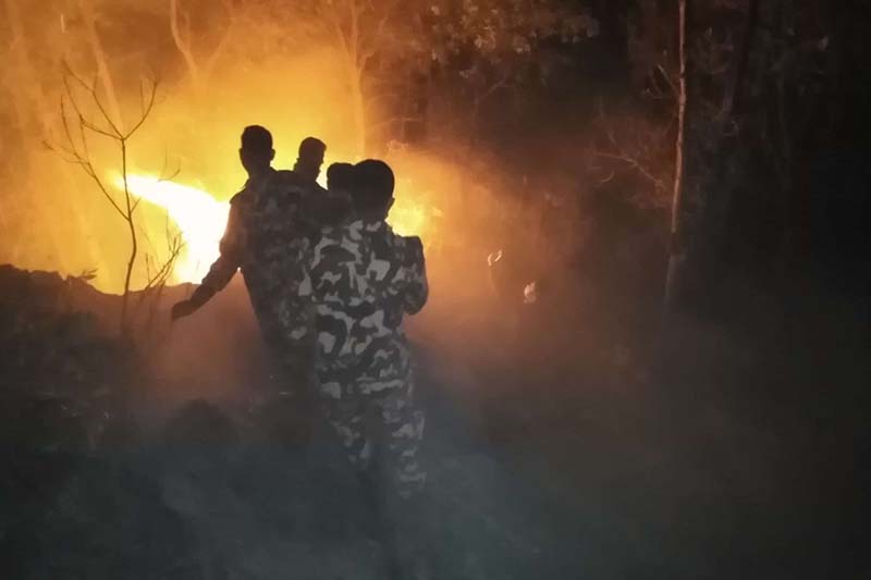 Fire in Shivapuri park under control