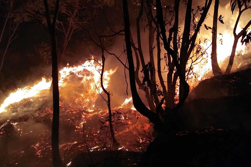 Wild fires reported in 60 forests in Kalikot