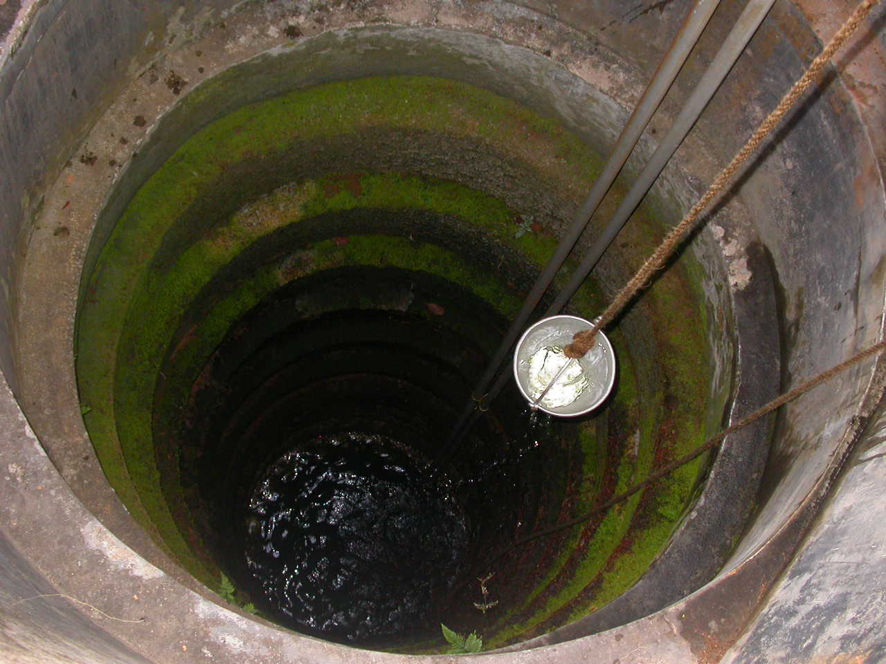 Woman fallen into well rescued safely