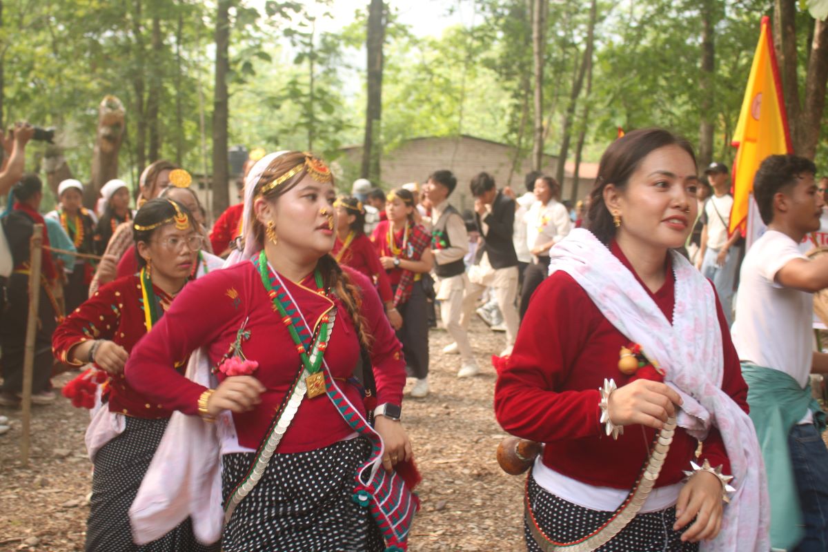 Festival of Kirat community, Sakela Udhauli, begins