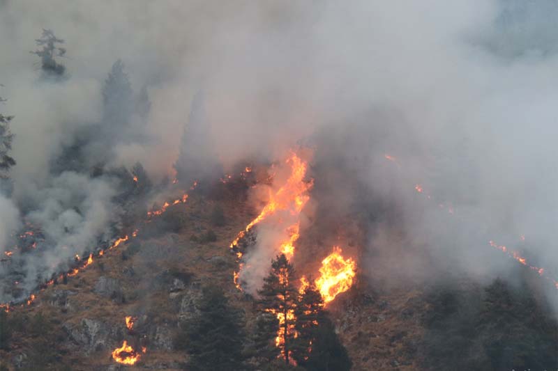 Ravaging fire comes near to human settlements