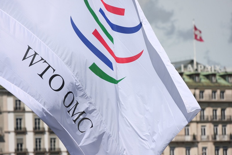 WTO mulling intellectual property waivers for vaccines