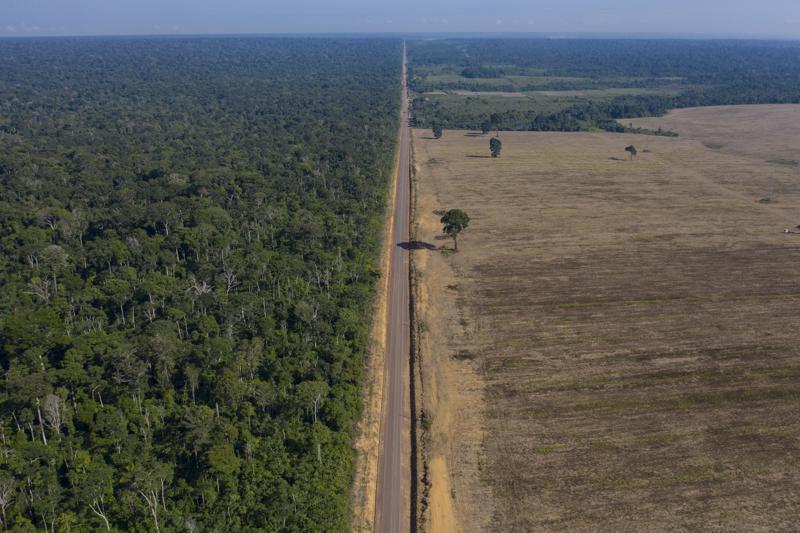 Brazil’s Amazon deforestation surges to worst in 15 years