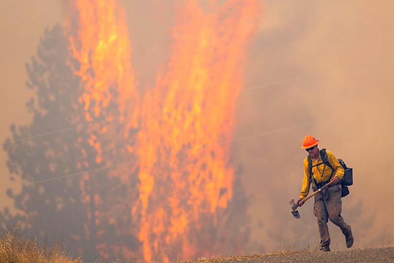 US Forest Service maxed out as wildfires continue