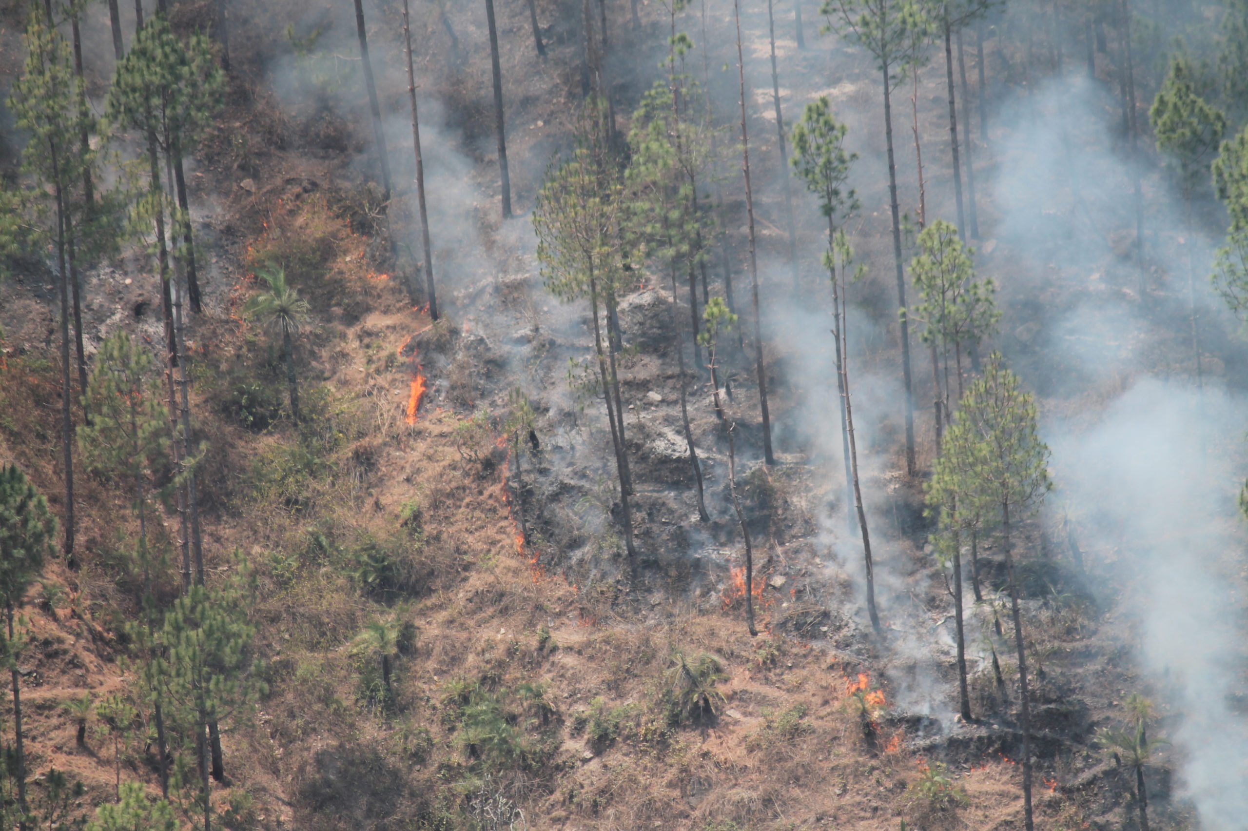 Wildfires lead to atmospheric hazards in various places