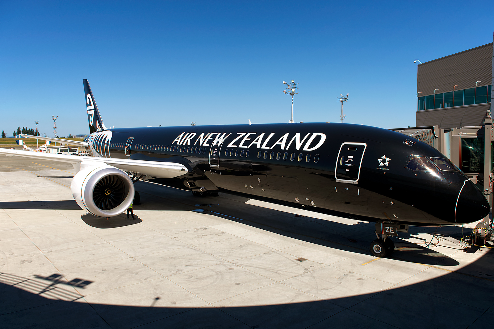 Air New Zealand sees “rapid recovery”: annual report