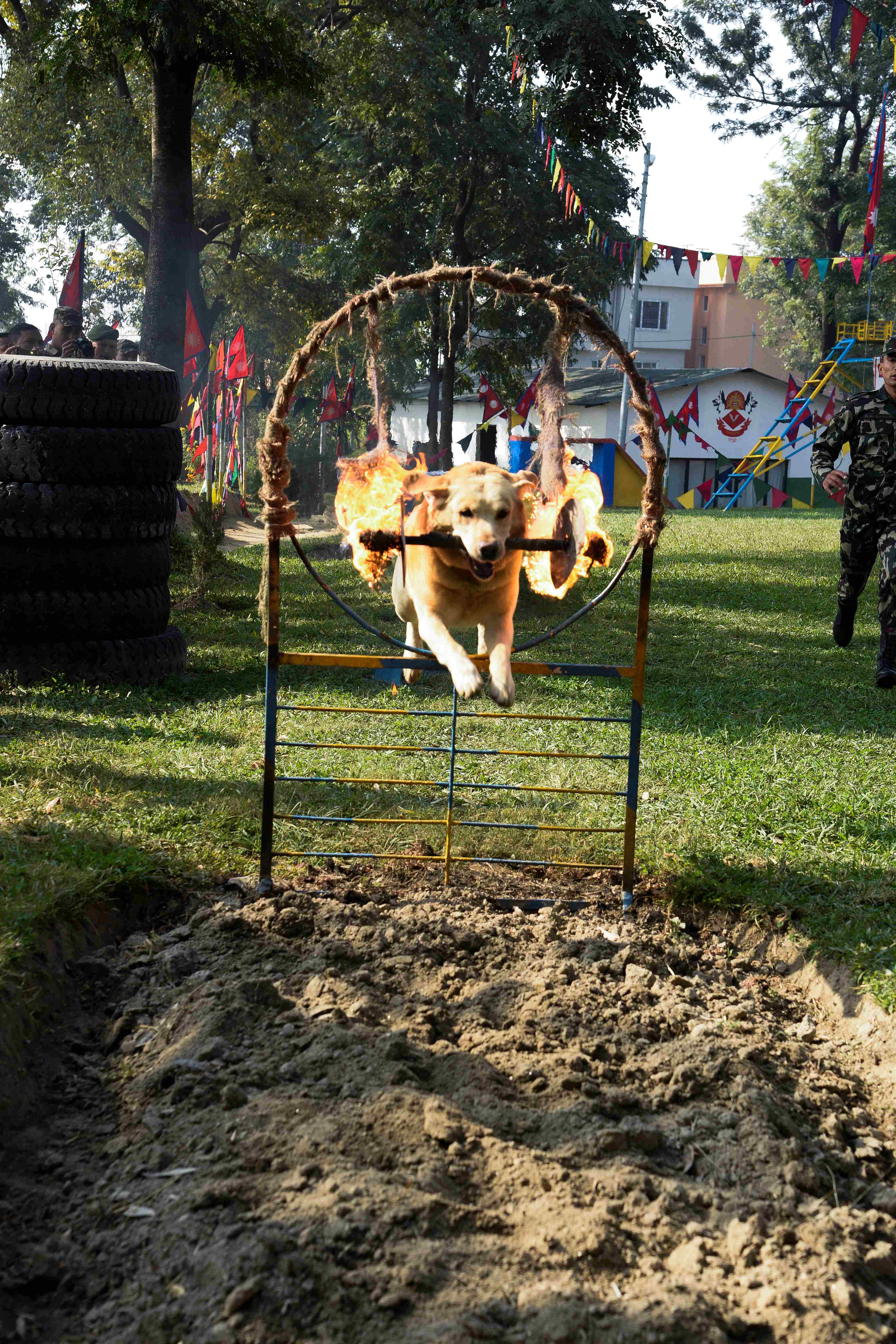 Soldier Dogs Art Performance Glimpses