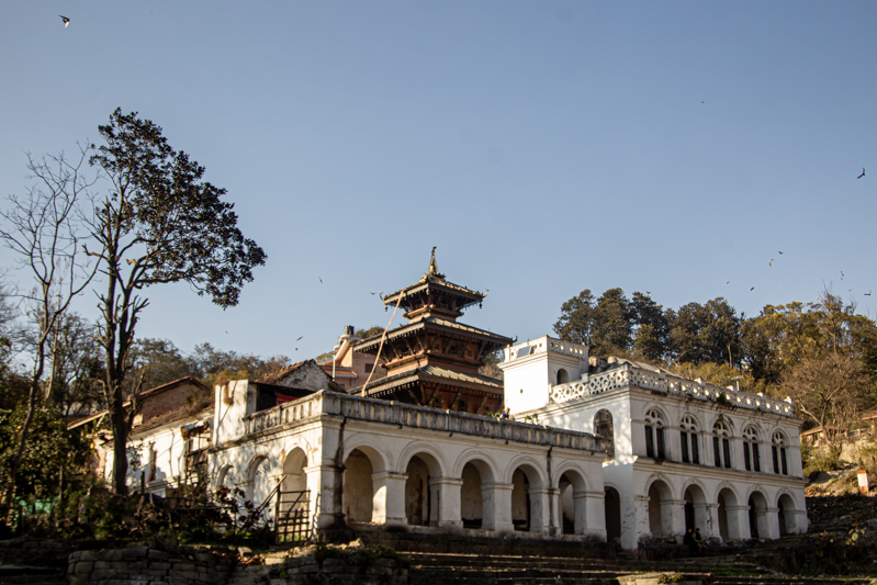 In pictures: Jal Binayak, the oldest Ganesh