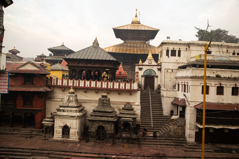 Home Minister worships lord Shiva at Pashupatinath