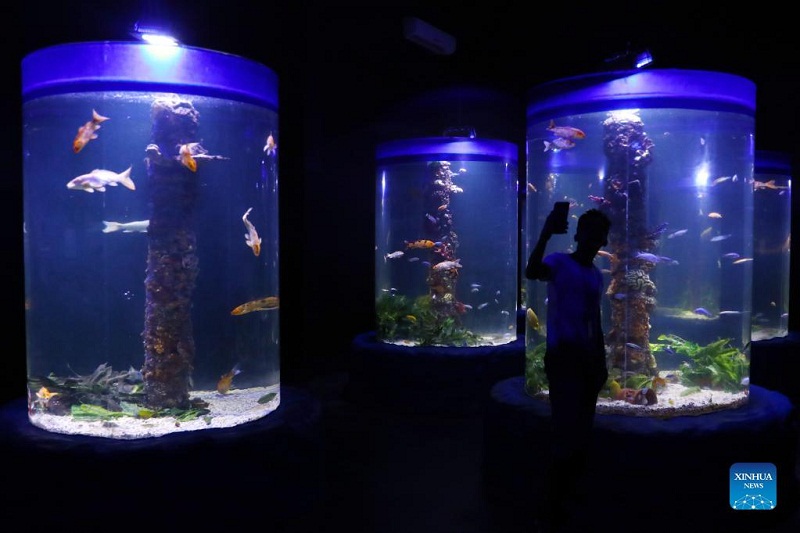 In pics: Hurghada Grand Aquarium in Egypt