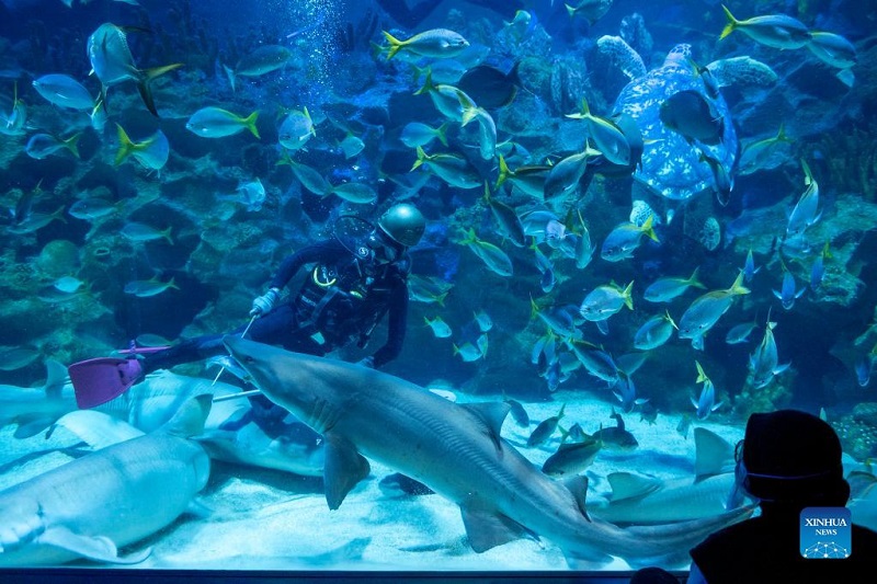 Aquaria KLCC open for vaccinated visitors in Malaysia