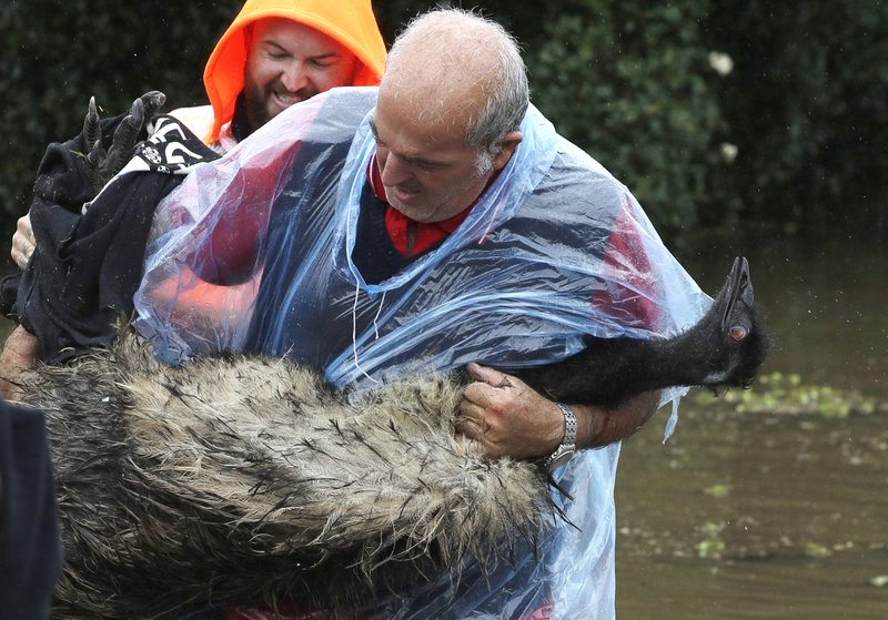 Australian east coast rain to ease but flooding continues