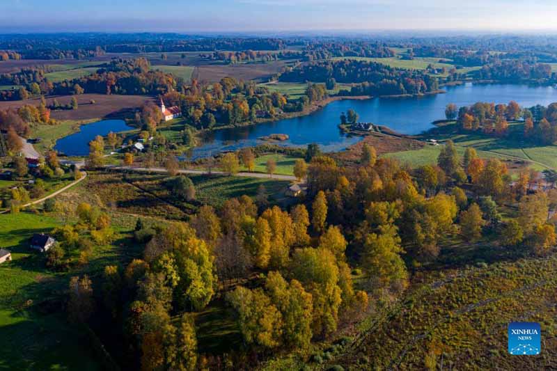 Glimpses of autumn view