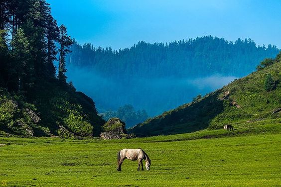 Proposal of feasibility study sought for Khaptad tourism project