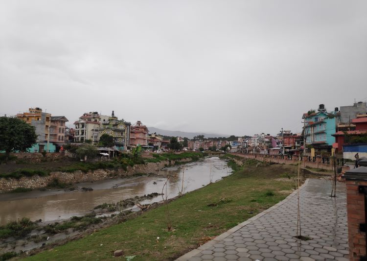 Marking World Environment Day by planting saplings on Bagmati River banks