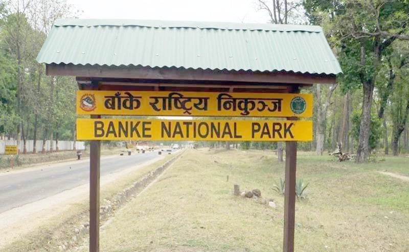 Time card system introduced at Banke National Park