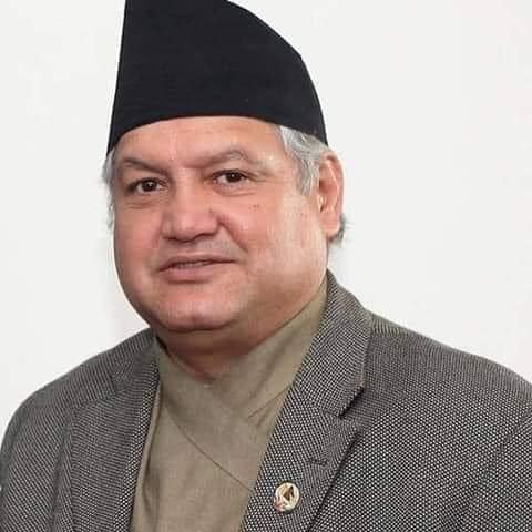 Thapa appointed political expert to the President