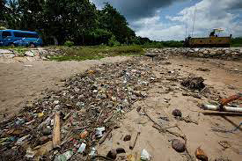 Discarded masks litter beaches worldwide, threaten sea life