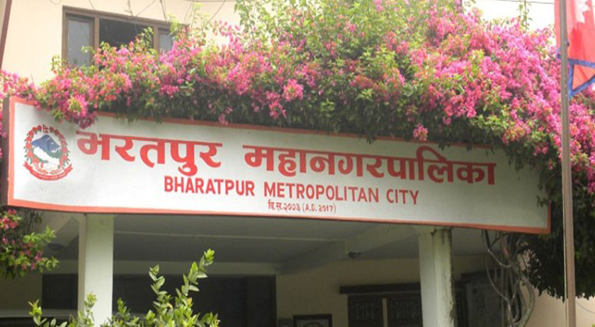 BMC Allocates Rs 50 Million for Greenery Promotion