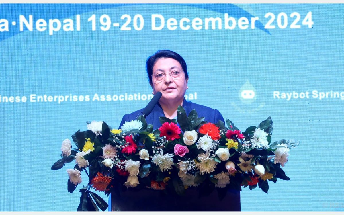 Former President Bhandari stresses on increasing investment in development construction