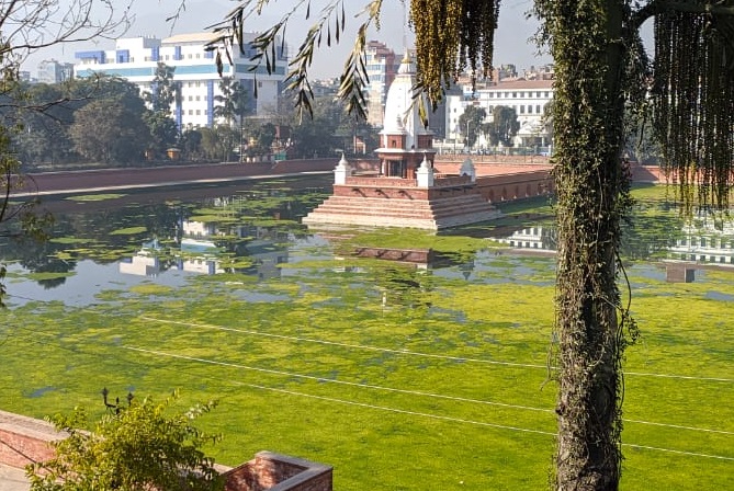 KMC starts removing algae from Ranipokhari