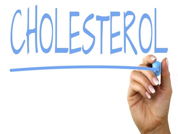 ‘Good cholesterol’ might protect the liver, study suggests