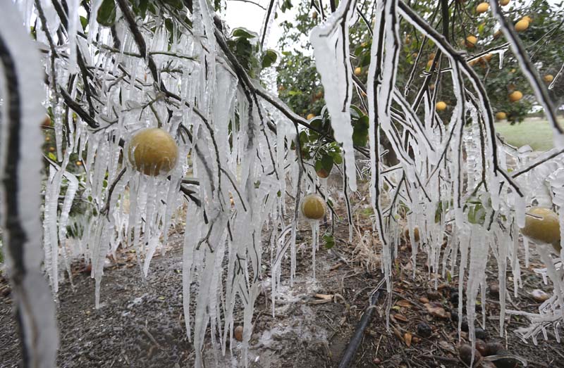 Topsy-turvy weather comes from polar vortex