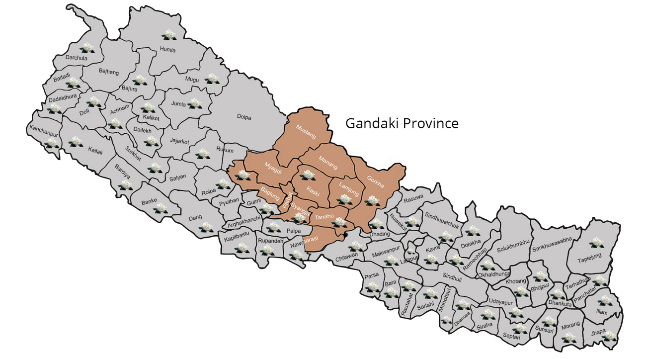 Gandaki Province to not implement small federal projects