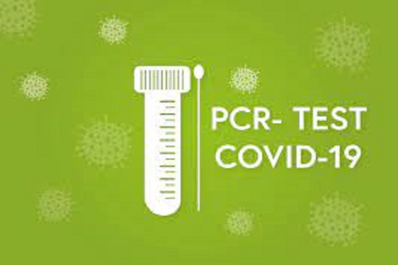 Free PCR testing for dengue