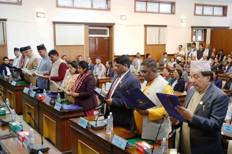 Chairpersons of all parliamentary committees take oath