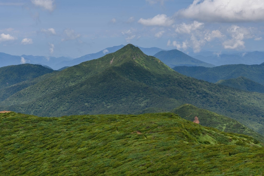 4 bodies found near mountain trail in southern Japan