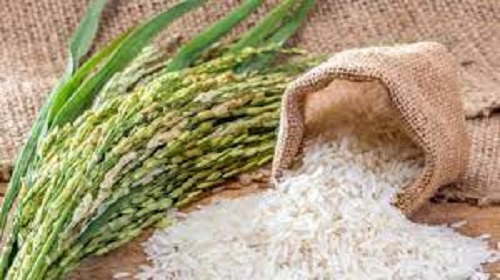 India to export 600,000 tons of unmilled rice to Nepal