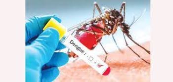 Sudurpaschim Province reports over 1,600 dengue cases since 2022