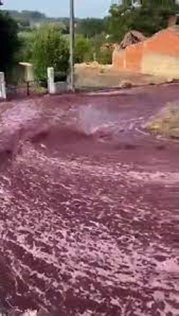 River of red wine flows through Portuguese town