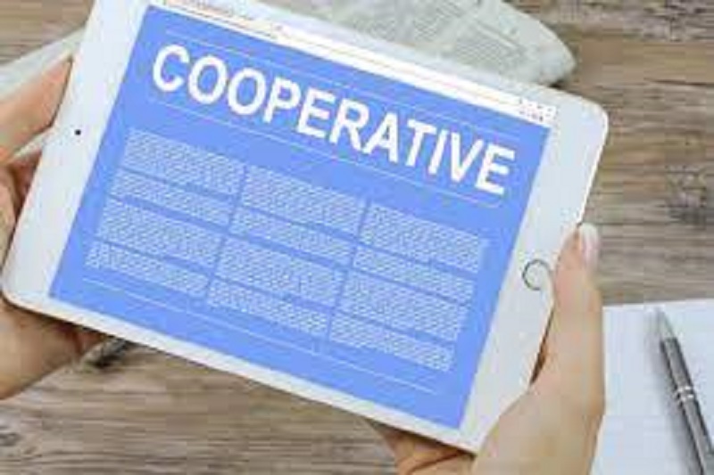 Cooperatives focused on production