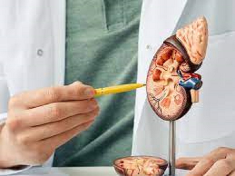 Researchers discover genetic code of rare kidney cancer